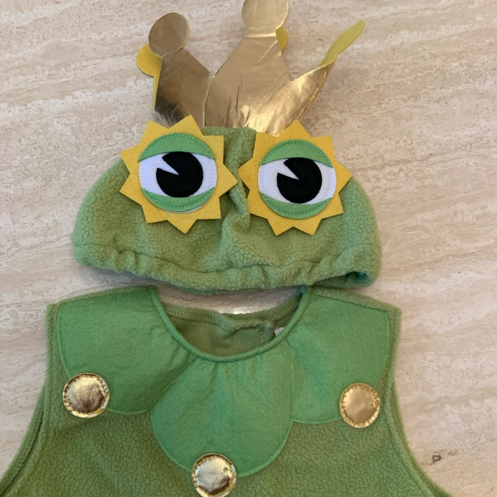 Pottery Barn Kids Costume